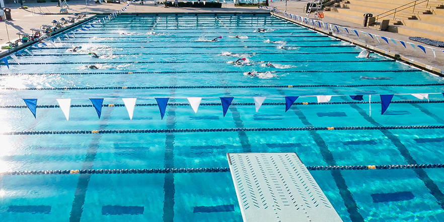 installation piscine olympique