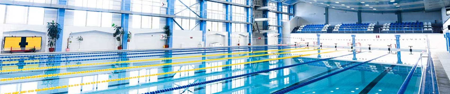 Étapes de la Construction de Piscines Olympiques