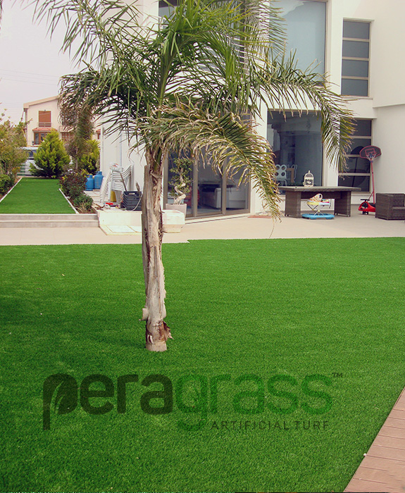 Peragrass