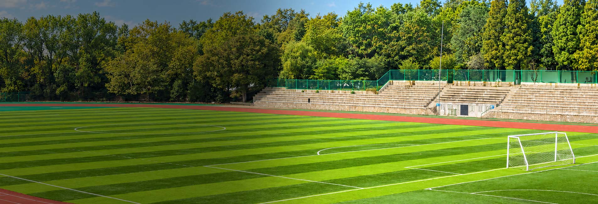 Avec Avengrass le monde est plus vert
