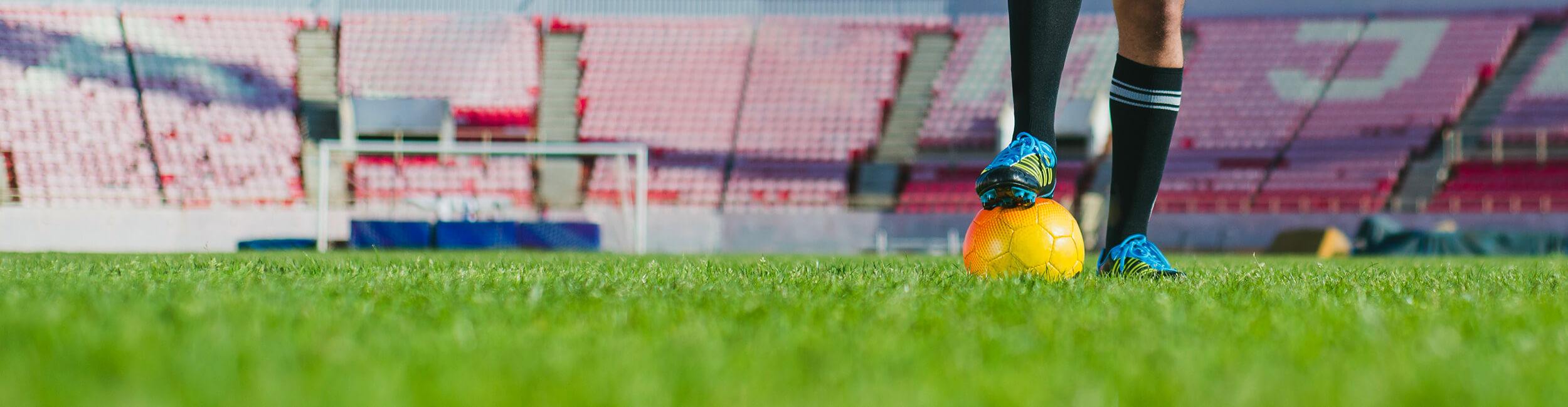 Avec Avengrass le monde est plus vert